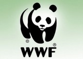 WWF собирает подписи для защиты морей от загрязнений нефтепродуктами