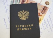 Названы самые высокооплачиваемые профессии Темрюка