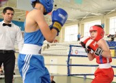 Темрюкские боксеры заняли призовые места на соревнованиях в Сочи