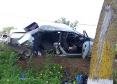 За неделю на дорогах Темрюкского района погибли 2 человека, еще 6 получили травмы