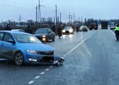 Три аварии - три пострадавших, итог ДТП в Темрюкском районе за неделю