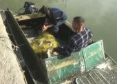 Анапские полицейские задержали браконьеров в Темрюке